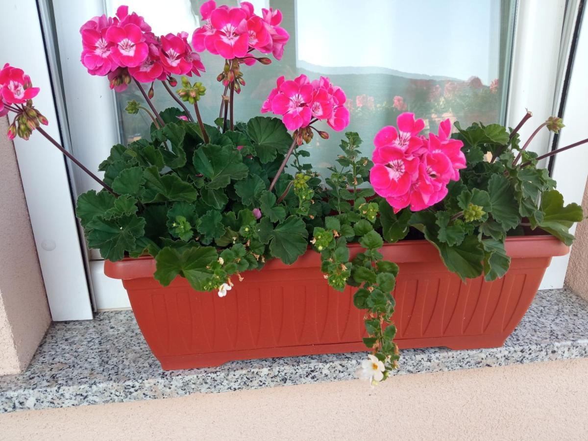 דירות קורניצה Apartman Vidovic מראה חיצוני תמונה